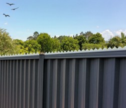 18414 pest fence spikes_insitu